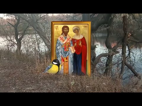 Видео: 12 ноября день Зиновия и Зиновии. Не дайте никому перейти вам дорогу и обязательно покормите птиц