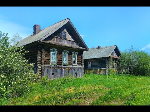 Видео: ЗАБРОШЕННАЯ ДЕРЕВНЯ с ещё хорошими БРОШЕННЫМИ ДОМАМИ. Деревня в глубинке Костромской области.