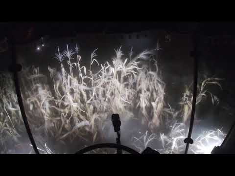 Видео: Ночна уборка кукурузи хотин 70ц