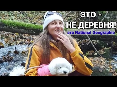Видео: 🎥Это не польская деревня. Это National Geographic — когда деревня выглядит лучше, чем отпуск в горах