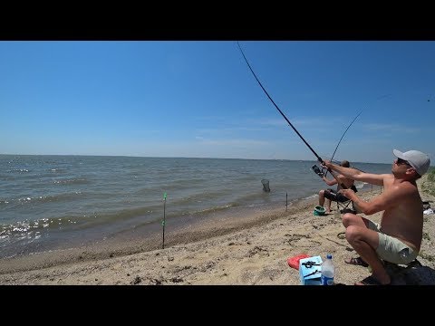 Видео: Днестровский Лиман.Нет Где рыбу половить, Днестр вышел с Берегов, Турунчук туда-же