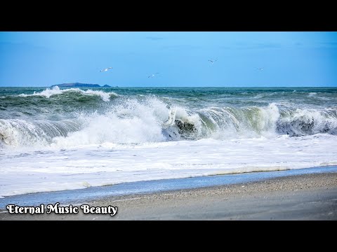 Видео: Я плакала, когда услышала эту песню🎶Мелодия души🎶Лучший сборник мелодий Сергея Грищука #3
