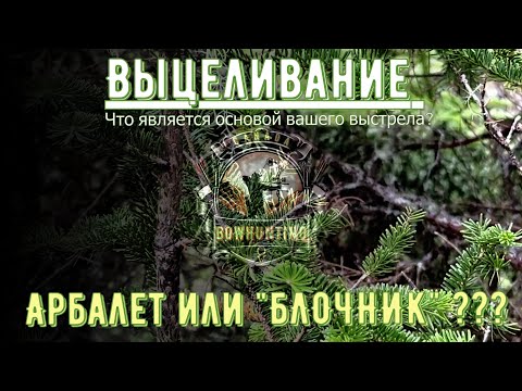 Видео: Арбалет или "Блочник" ??? Выцеливание !