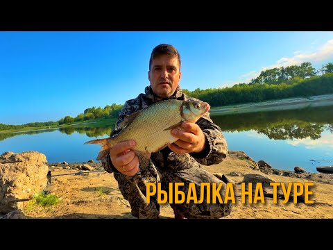 Видео: Рыбалка на реке Тура. Тюмень.