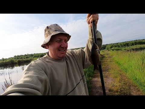 Видео: Мой Первый Улов / Подмосковная Рыбалка / Дачный ВЛОГ