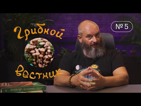 Видео: Грибной Вестник №5 | об отваривании; очистка воды грибами; срезать или выкручивать; новое заражение