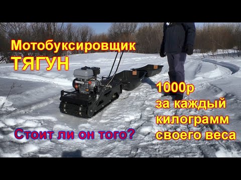 Видео: Мотобуксировщик Тягун