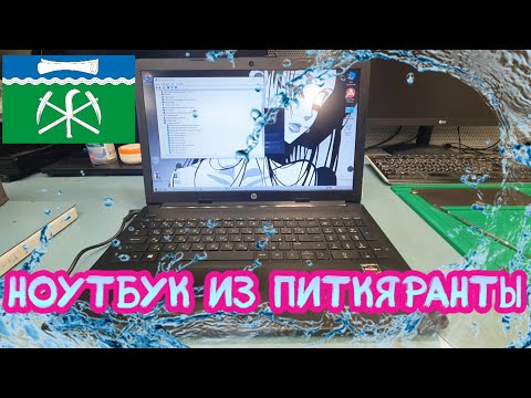 Видео: Ноутбук HP 15-db1274ur из Питкяранты