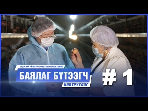 Видео: "БАЯЛАГ БҮТЭЭГЧ" Цуврал нэвтрүүлэг # 1 I “Нионшэль” ххк-ийн гүйцэтгэх захирал  Т.Далантай