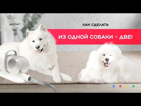 Видео: Xiaomi 2 in 1 Pet Grooming Vacuum Cleaner Kit and Hair Dryer / Набор для груминга: пылесос + фен