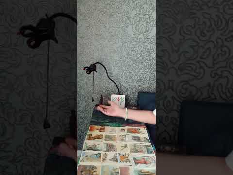 Видео: Соперница в выходные дни...