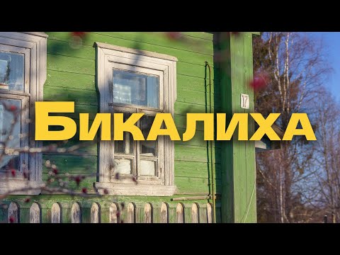 Видео: Бикалиха - маленькая деревушка в глубинке Тверской области.