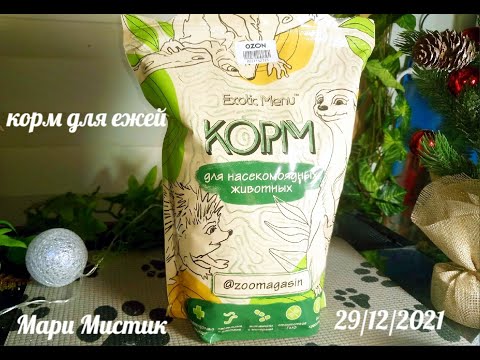 Видео: Вася ест сухой корм для насекомоядных животных от фирмы #ExoticMenu Даша знакомится с Василием ЕЖИ