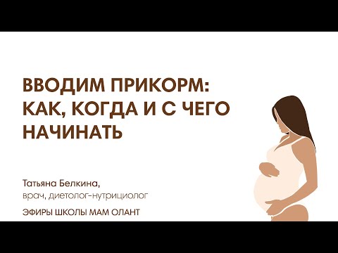 Видео: ПРИКОРМ: КАК, ЧТО, КОГДА?