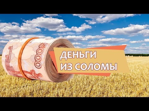 Видео: Бесплатный ресурс в растениеводстве: как из соломы делать деньги