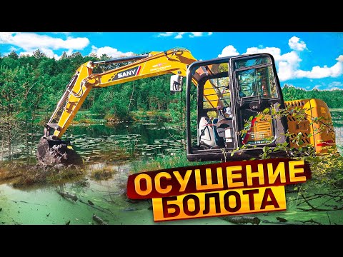 Видео: Осушение болота.