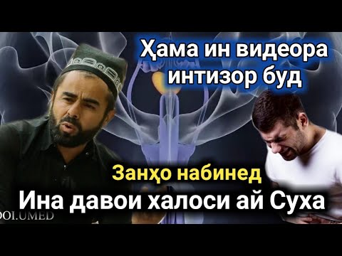 Видео: ХАЛОСИ АЗ СУХА (ХУДРИЗОИ) РО ЁФТ ДОМУЛЛО БАДРИДДИН ХАТМАН БИНЕД