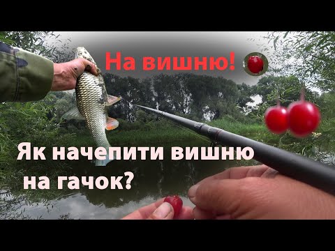 Видео: На вишню!