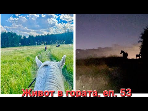 Видео: ЖИВОТ В ГОРАТА, ЕП. 53.ЗАГРАЖДАМЕ ДРУГИЯ ПАРЦЕЛ. КОРИДОРА Е ГОТОВ.КЪЩА ИЗВЪН СИСТЕМАТА