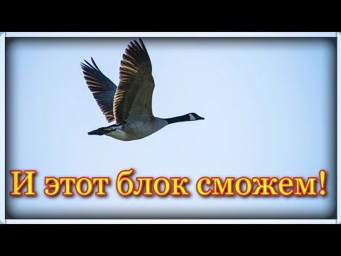 Видео: Скоростное сшивание блока " Летящие гуси". Как легко и быстро сшить блок .Простые и понятные способы