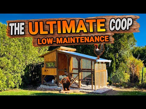 Видео: ПРОСТОЙ, НЕ ТРЕБУЮЩИЙ УХОД КУРЯТНИК | СДЕЛАЙ САМ | ТАЙМЛАПС