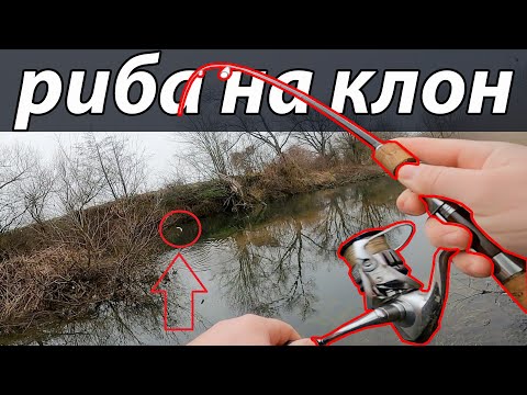 Видео: Риболов на КЕФАЛ и ЩУКA през януари