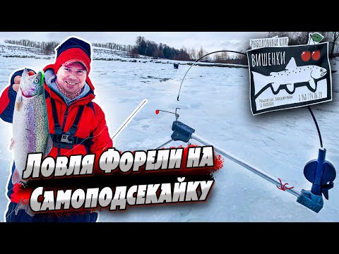 Видео: Ловля форели зимой | Форелевый безлимит | Самоподсекайка