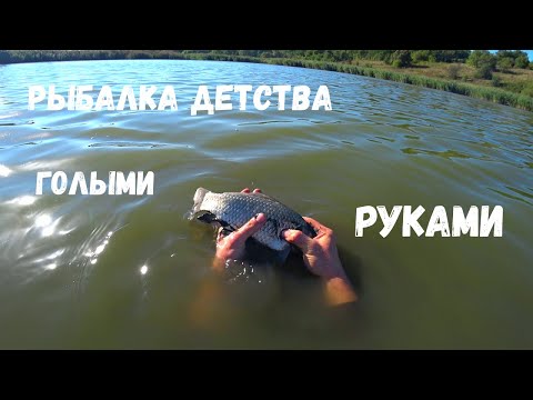 Видео: Что Можно Поймать Руками На Высыхающем Пруду, Рыбалка Детства!