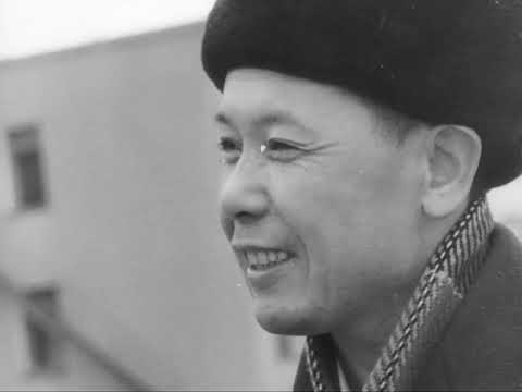 Видео: Два года и одна ночь