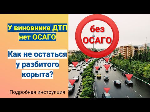 Видео: Виновник ДТП без ОСАГО. Как получить возмещение ущерба? Подробная инструкция
