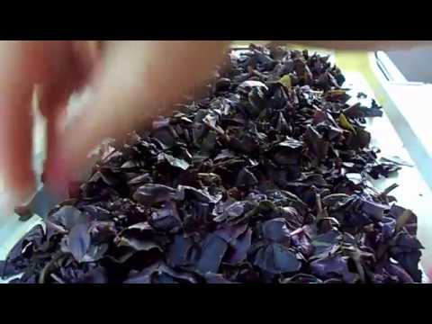 Видео: ЗАГОТОВКА ЗЕЛЕНИ НА ЗИМУ . БАЗИЛИК.