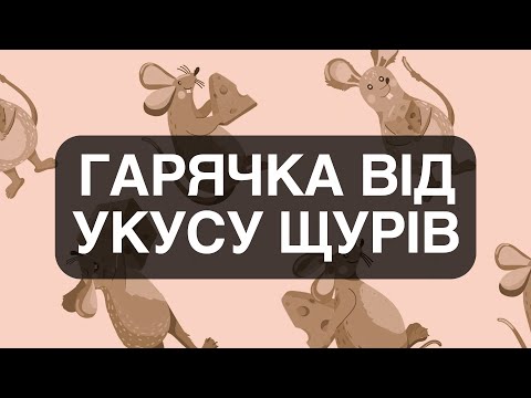 Видео: Гарячка від укусу щурів: Spirillum minus (хвороба содоку) та Streptobacillus moniliformis