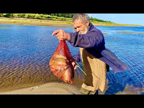 Видео: Вот такие планы Отшельники (30 лет одиночества 90 серия)