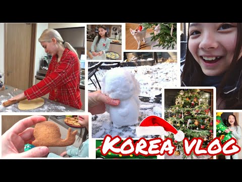 Видео: Рождество в Корее / День первый / KOREA VLOG