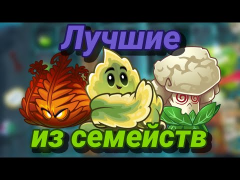 Видео: Лучшие РАСТЕНИЯ каждого СЕМЕЙСТВА | Plants vs Zombies 2