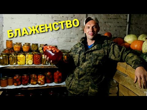 Видео: Семья в деревне. Каштан... В погреб как в сейф