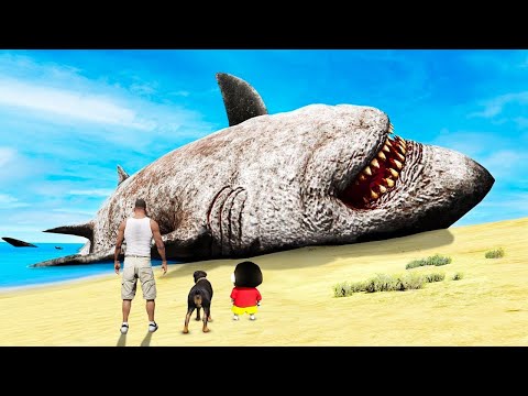 Видео: ФРАНКЛИН ЕҢ ҮЛКЕН АКУЛАНЫ ТАПТЫ (GTA V)
