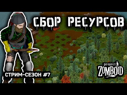 Видео: Гуляю по Вест-Поинту | Project Zomboid build 42.12 | Стрим-сезон #7