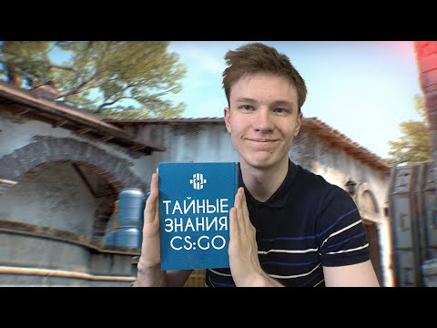 Видео: Чему я научился за 1 ГОД игры в КОМАНДЕ?