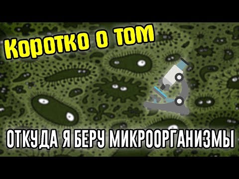 Видео: Коротко о том, откуда я беру микроорганизмы для видео