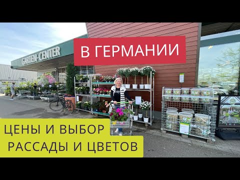 Видео: САДОВЫЙ ЦЕНТР В ГЕРМАНИИ ,,DEHNER’’🇩🇪Большой выбор рассады🪴Какие цветы купила🌺🌸🌼Фрайбург