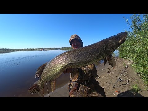 Видео: НА ЧТО ЖЕ ЛОВЯТ ТАКИХ КРОКОДИЛОВ???? ОТВЕТ ПОД КАПОТОМ