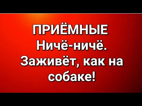 Видео: Приёмные/В последних сериях. 