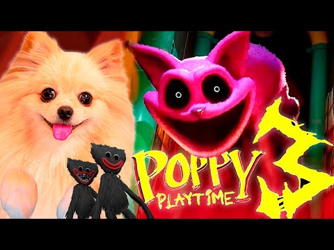 Видео: РОЗОВЫЙ КОТИК и СЕРЫЙ ХАГГИ ВАГГИ ! НОВАЯ ЧАСТЬ ПОППИ ПЛЕЙТАЙМ! Poppy Playtime 3