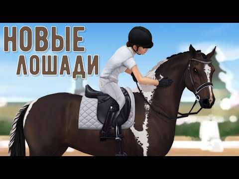 Видео: Новые лошади | Покупка | Обновление | Star Stable