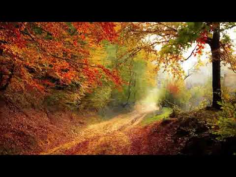 Видео: Ошо - Вечерние медитации,  01.Ты должен стать Колумбом сознания, озвучивает Nikosho.