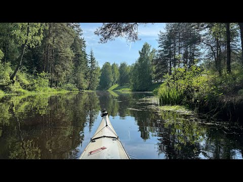 Видео: На каяках к Волжским островам. Рыбинское водохранилище.