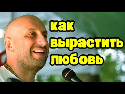 Видео: Сатья - Три кита отношений: если нет хотя бы одного — пиши пропало.