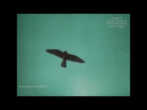 Видео: "Сотворение хлеба". Полная версия фильма.  Ростовская киностудия,1980г