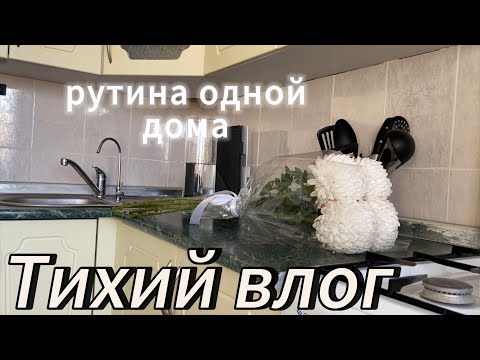 Видео: Тихий влог || Одна дома || АСМР